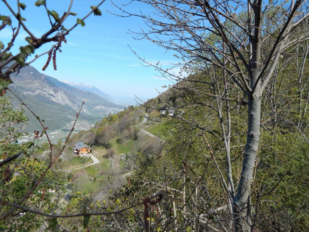 L Ame Et Son Du Coeur Villa Dorenaz Dış mekan fotoğraf