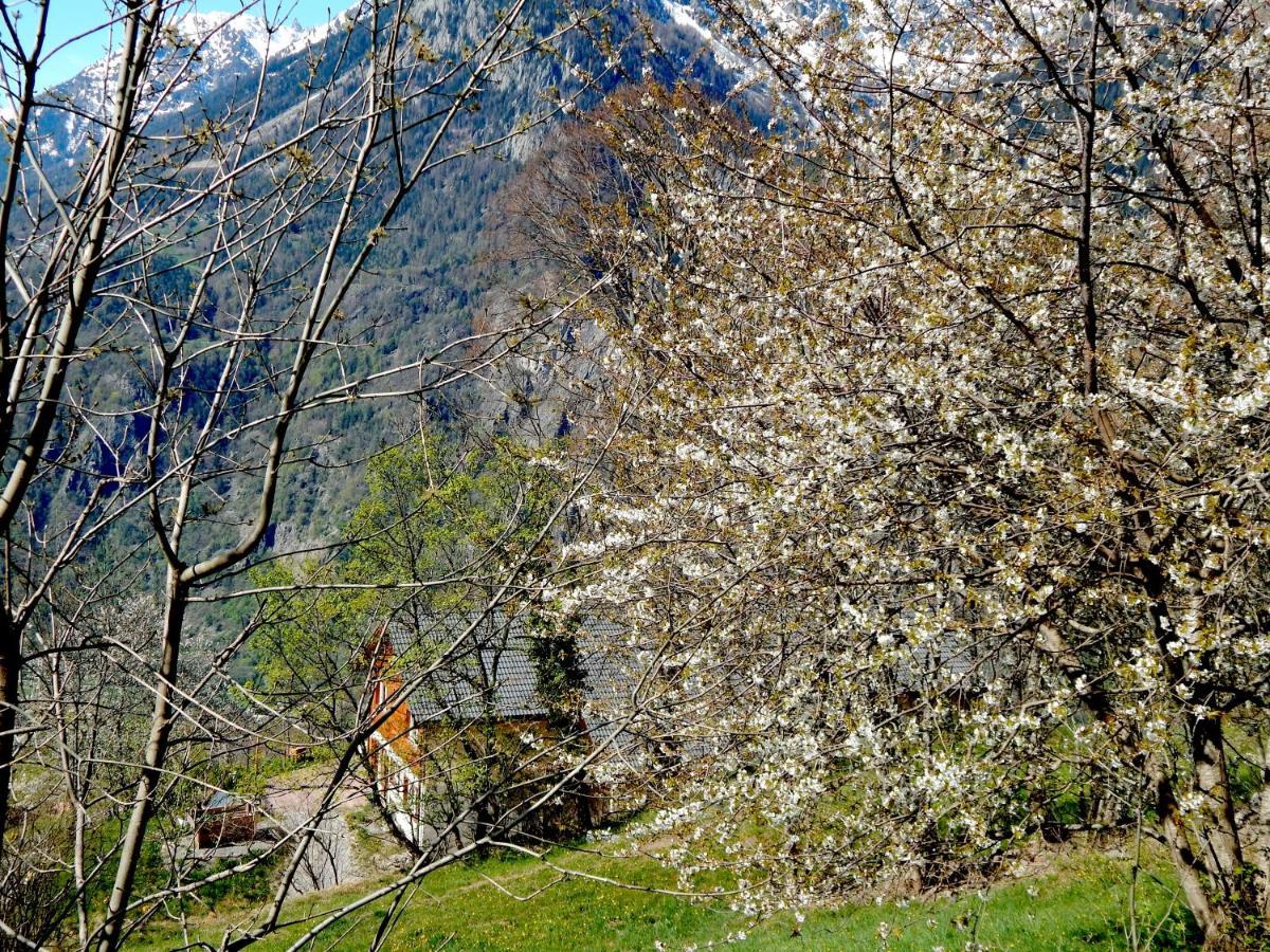 L Ame Et Son Du Coeur Villa Dorenaz Dış mekan fotoğraf